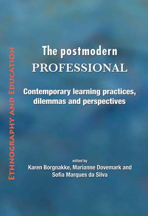 The Postmodern Professional: Contemporary Learning Practices, Dilemmas and Perspectives de Karen Borgnakke