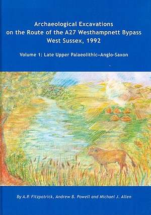 Archaeological Excavations on the Route of the A27 Westhampnett Bypass West Sussex, 1992 de M. J. Allen