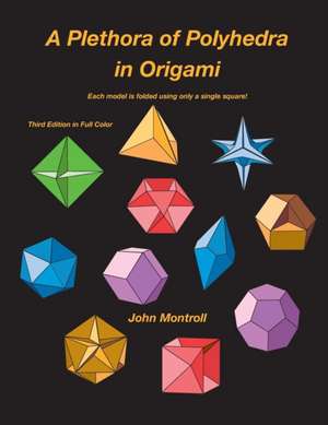 A Plethora of Polyhedra in Origami de John Montroll