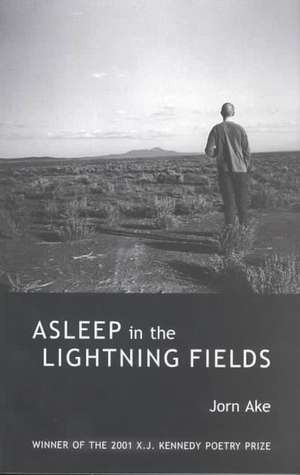 Asleep in the Lightning Fields de Jorn Ake