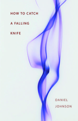 How to Catch a Falling Knife de Daniel Johnson