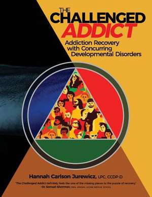 The Challenged Addict de Jurewicz Lpc Ccdp-D, Hannah Carlson