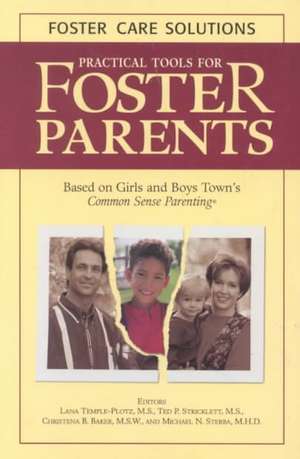 Practical Tools for Foster Parents de Lana Temple-Plotz