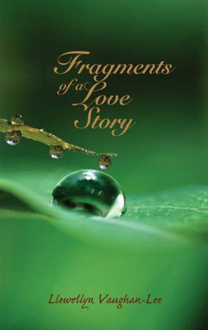 Fragments of a Love Story: Reflections on the Life of a Mystic de Llewellyn Vaughan-Lee