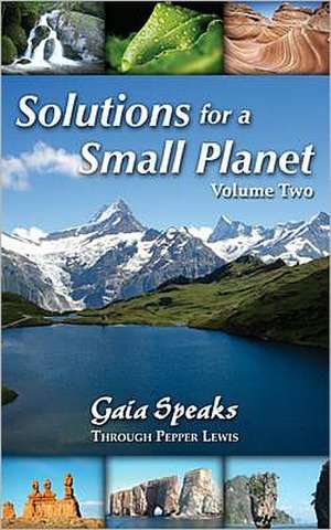 Solutions for a Small Planet, Volume Two de Pepper Lewis