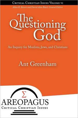 The Questioning God de Ant Greenham