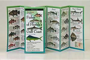 Fishes of the Florida's Gulf Coast de Robert Shipp