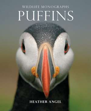 Puffins de Heather Angel