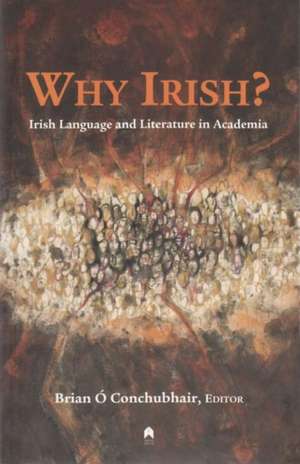 Why Irish?: Irish Language and Literature in Academia de Brian O. Conchubhair