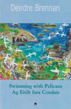 Swimming with Pelicans/Ag Eitilt Fara Condair de Dierdre Brennan