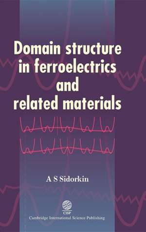 Domain Structure in Ferroelectrics and Related Materials de A. S. Sidorkin