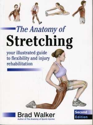 Anatomy of Stretching N/E: Illustrated Guide to Fl exibility de B Walker