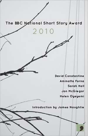 The BBC National Short Story Award 2010 de Jon McGregor