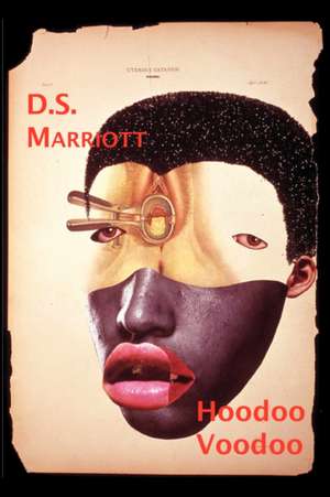 Hoodoo Voodoo de D. S. Marriott