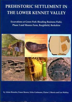 Prehistoric Settlement in the Lower Kennet Valley: Excavations at Green Park (Reading Business Park) Phase 3 and Moores Farm, Burghfield, Berkshire de Adam Brossler