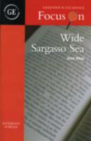 Wide Sargasso Sea by Jean Rhys de ANTHONY FOWLES