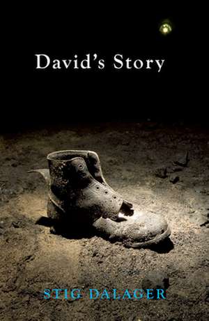 David's Story de Stig Dalager