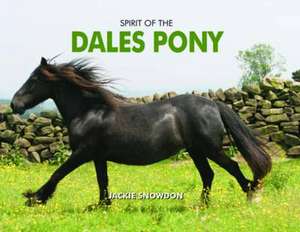 Spirit of the Dales Pony de Jackie Snowdon