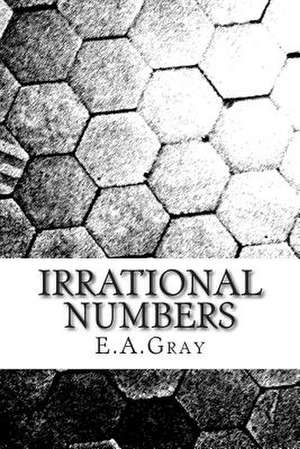 Irrational Numbers: The Graphic Novel de Gray, E. A.