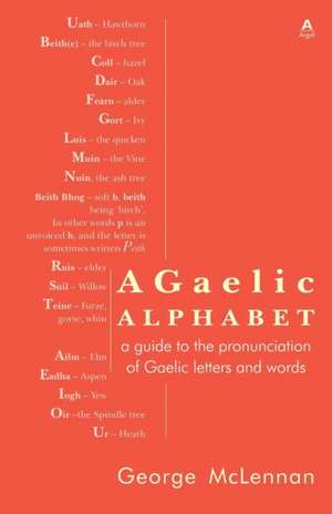 A Gaelic Alphabet de George McLennan