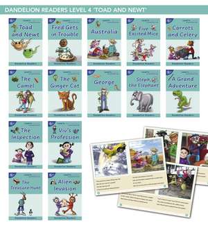 Phonic Books Dandelion Readers Vowel Spellings Level 4 (Alternative spellings for vowels and consonants, alternative sounds for the spellings 'c' and 'g'): Decodable books for beginner readers Alternative spellings for vowels and consonants, alternative sounds for the spellings 'c' and 'g' de Phonic Books