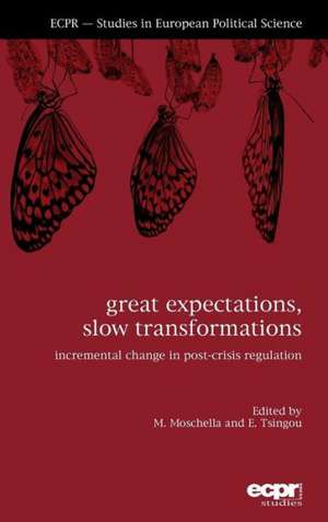 Great Expectations, Slow Transformations de Manuela Moschella