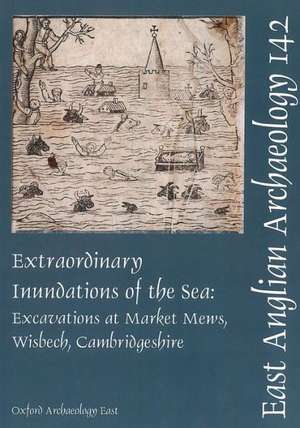 Extraordinary Inundations of the Sea de Mark Hinman