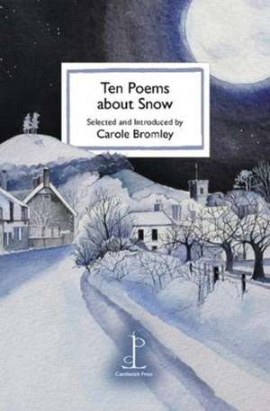 Ten Poems about Snow de Carole Bromley