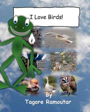 I Love Birds!: Where in the World Is Rufus T Bear ? de Tagore Ramoutar