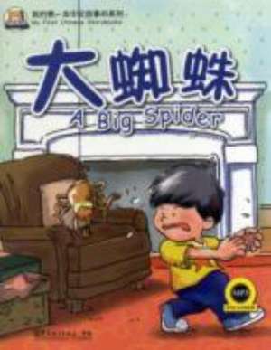 BIG SPIDER BOOK & CD