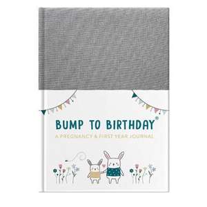 Stephens, H: Bump to Birthday de Helen Stephens