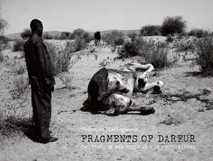 Fragments of Darfur de Nektarios Markogiannis