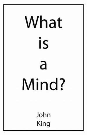 What Is a Mind?: Severe Danger, Mild Danger, Denial, Positive Event de John King