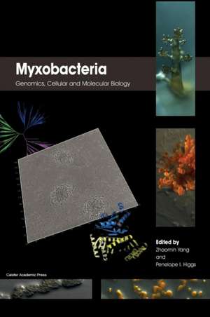 Myxobacteria: Genomics, Cellular and Molecular Biology de Zhaomin Yang