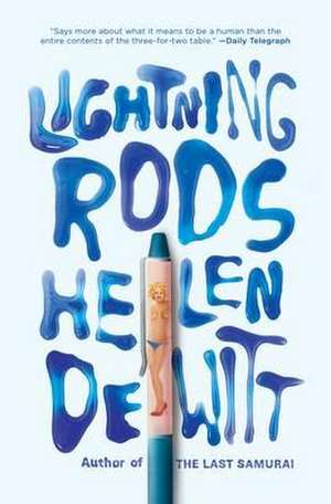 Lightning Rods de Helen DeWitt