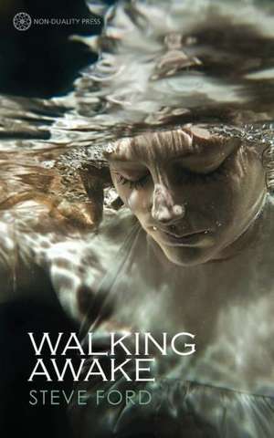 Walking Awake de Steve Ford