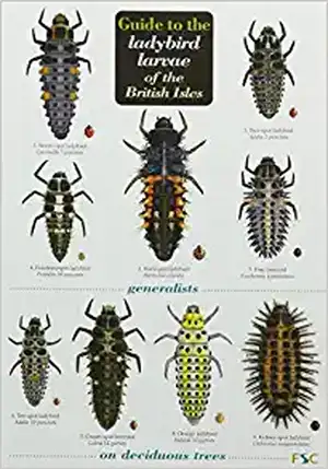 Guide to the Ladybird Larvae of the British Isles de Peter Brown