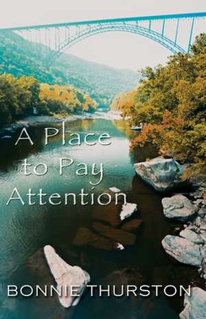 A Place to Pay Attention de Bonnie Thurston