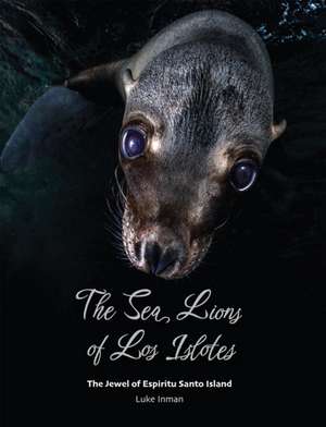 The Sea Lions of Los Islotes de Luke Inman