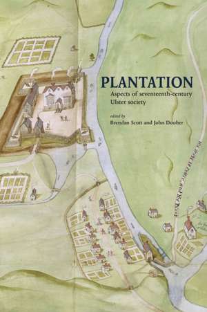 Plantation de Brendan Scott