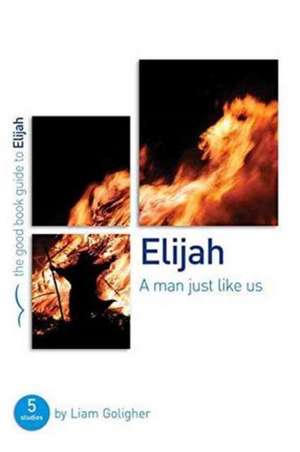 Elijah: A Man Just Like Us: 5 Studies for Individuals or Groups de Liam Goligher