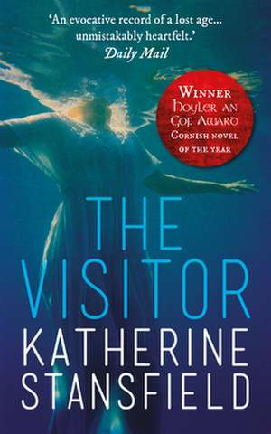 The Visitor: LaPlanche, Theory, Culture de Katherine Stansfield