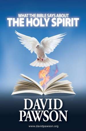 What the Bible Says about the Holy Spirit de David Pawson