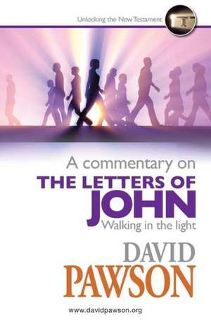 A Commentary on the Letters of John de David Pawson