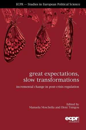 Great Expectations, Slow Transformations de Manuela Moschella