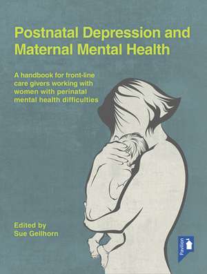 Postnatal Depression and Maternal Mental Health de Sue Gellhorn