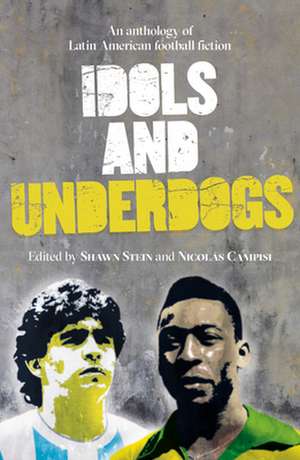 Idols and Underdogs de Shawn Stein