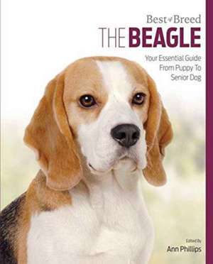 Beagle de Ann Phillips