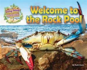 Welcome to the Rock Pool de Ruth Owen