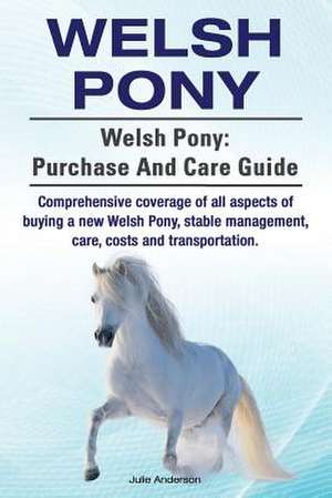 Welsh Pony. Welsh Pony de Julie Anderson